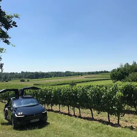 Vakantiehuis Ferme Au Chateau Le Noble - Proche St Emilion *