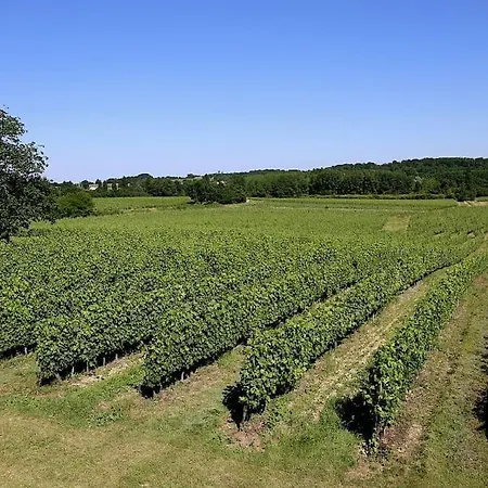 Ferme Au Chateau Le Noble - Proche St Emilion